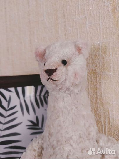 Медведь Тедди