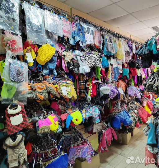 Одежда для собак