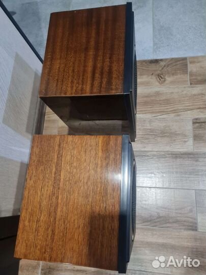 Акустические колонки Романтика 10ас 207