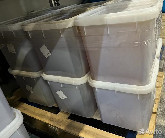 Гречишный мёд. Качка 2023 г. Оптом