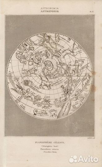 Гравюры. Планеты. Астрономия. Созвездия. Космос