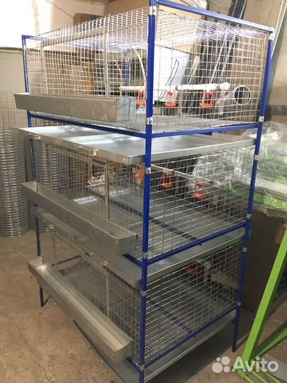 Клетки для кур, перепелов