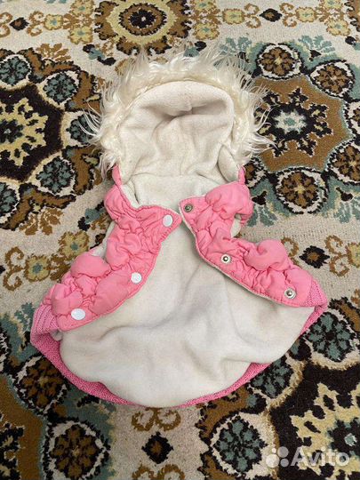 Вещи на йоркширского терьера