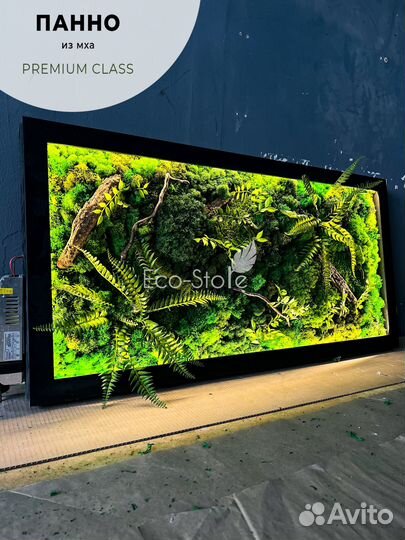 Панно мох с теплой подсветкой