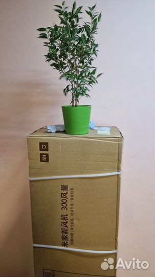 Xiaomi Mi Air New Purifier G1 (mjxfj300G1)