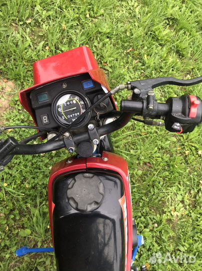 Зид пилот 50