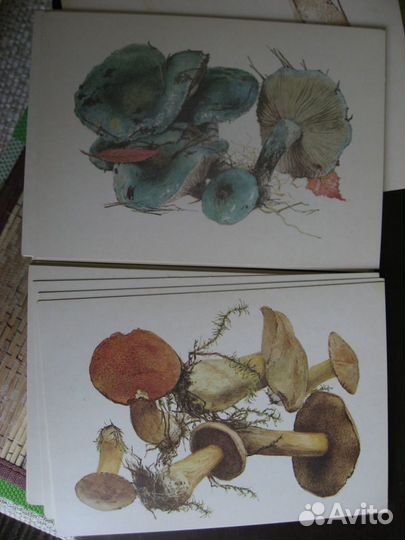 Открытки СССР