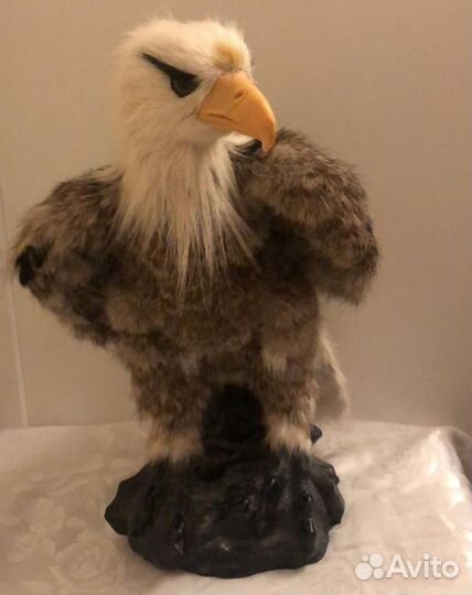 Чучело птицы