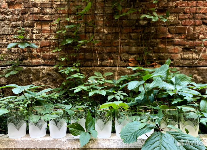 Хрустальная посуда СССР