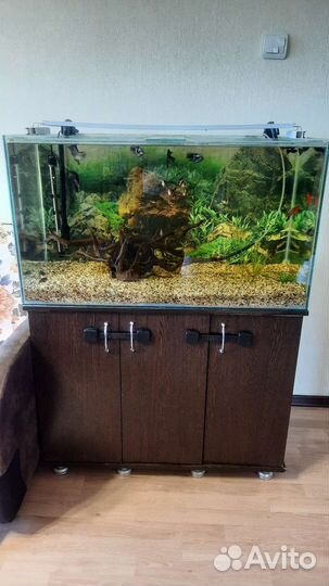 Аквариум с тумбой 180 литров