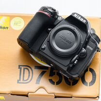 Nikon D7500 (body)