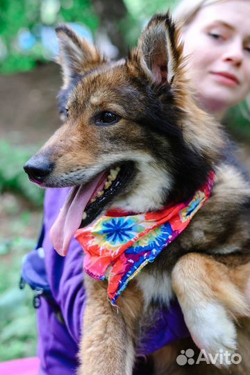 Ждёт хозяев