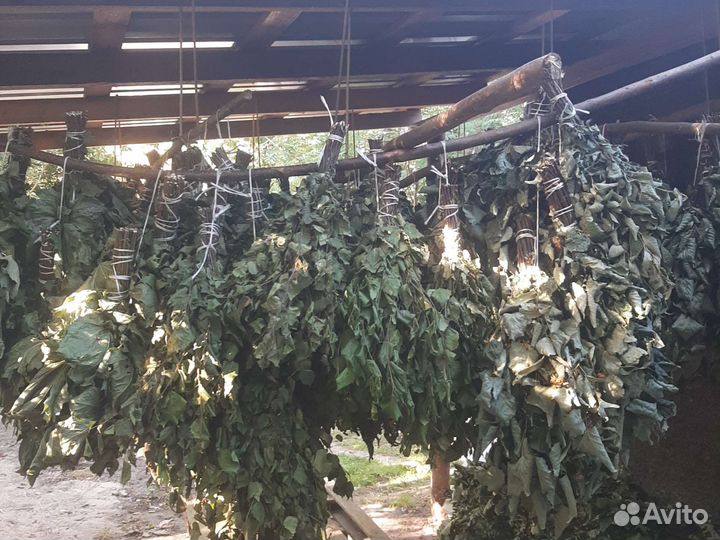 Веники для бани