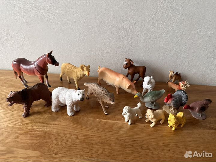 Коллеция Зверей