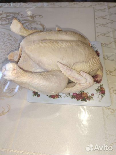 Мясо домашней курицы