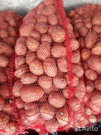 Продам овощи: картофель, капуста, лук, морковь