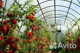 Разнорабочие п. Солнечнодольск. Оплата каждый день