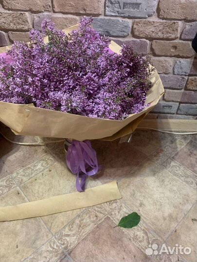 Букет из сирени