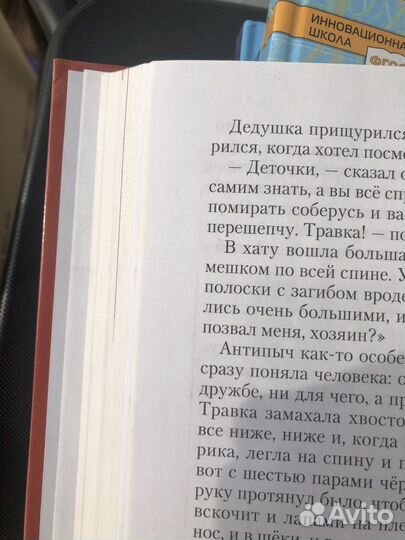 Учебник Литература 2 ч. 6 класс Меркин