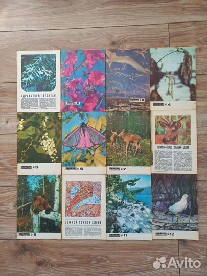 Журнал юный натуралист