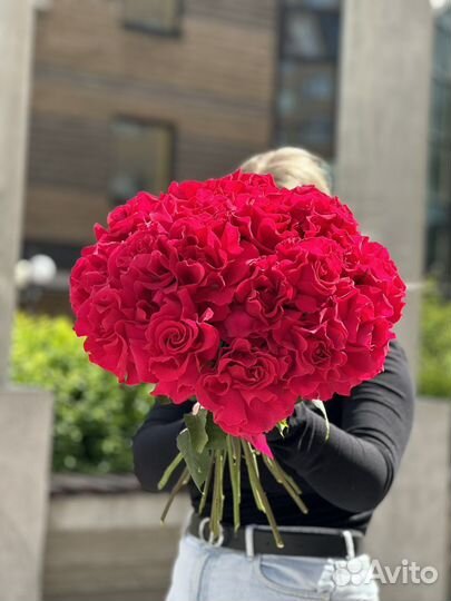 Роза малиновая французская