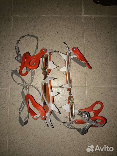 Кошки Camp Stalker