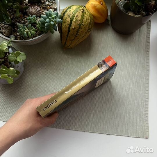 Нравственные письма к Луцилию Сенека Луций Анней