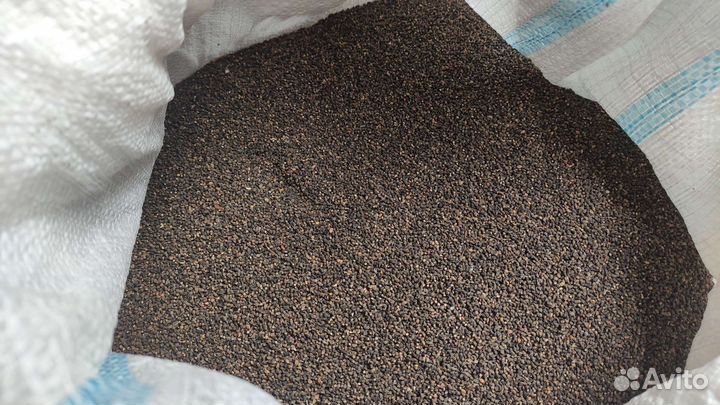 Семена Синяк Медонос Сидерат