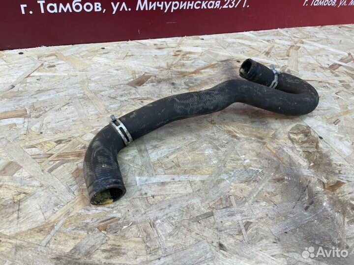 Верхний патрубок радиатора Renault Sandero Stepway