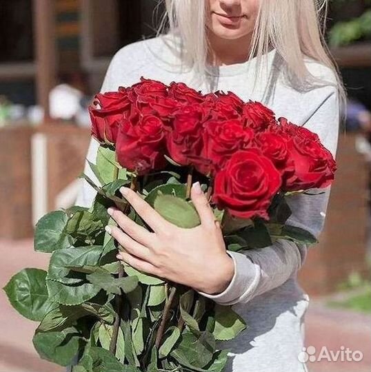 Высокие Розы Гиганты Доставка Круглосуточно