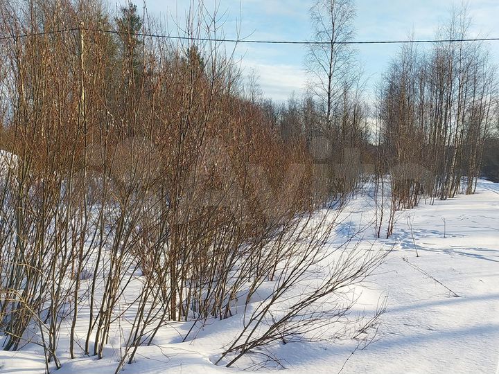 Участок 10 сот. (ИЖС)