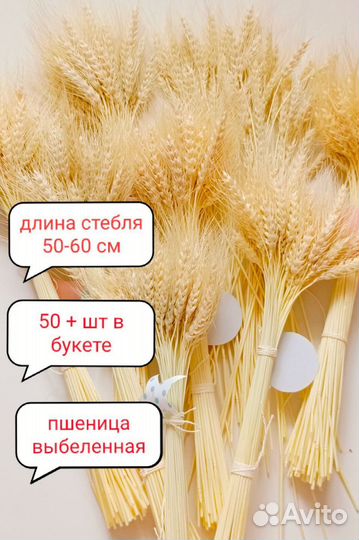 Букет пшеничный выбеленный