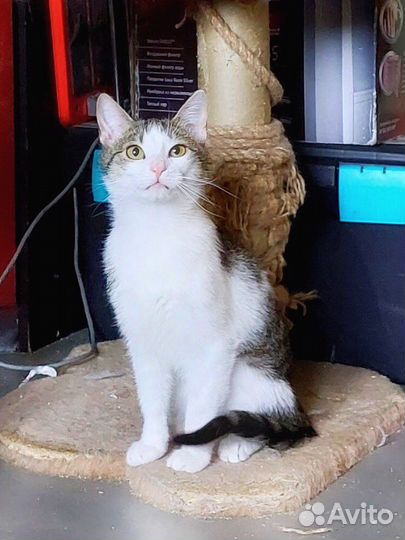 Выкинули малышей