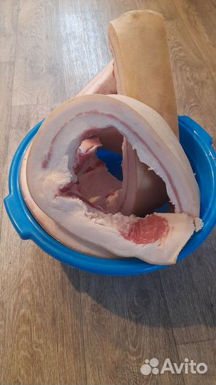 Сало свежее домашнее