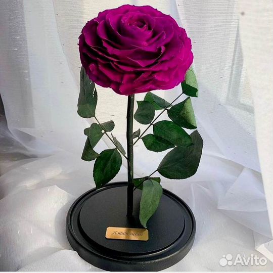 Неувядающая роза в колбе