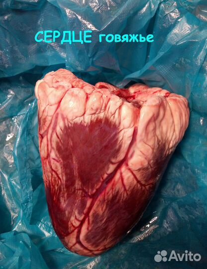 Мясо для собак и кошек (говядина, курица, индейка)