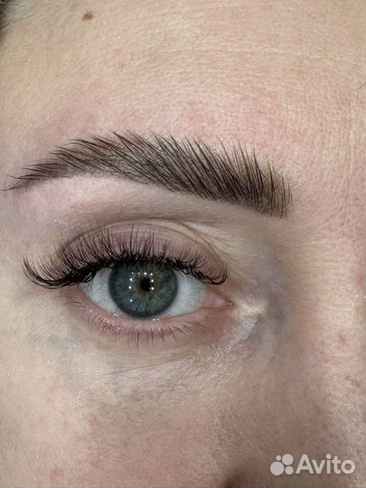 Мастер бровист