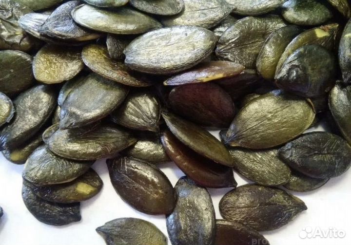 Тыквенные семена. Урожайные