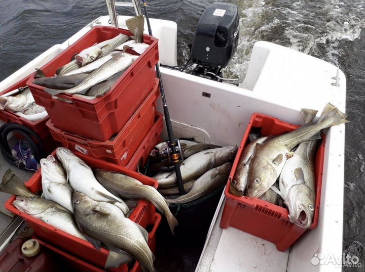 Морская рыбалка