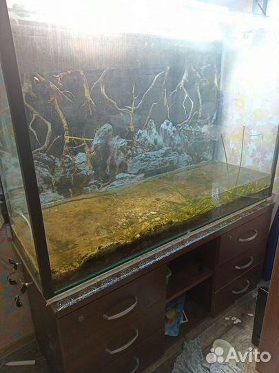 Аквариум огромный 400 литров
