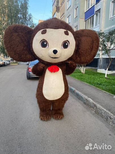 Поздравление Ушастика