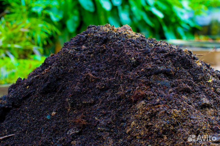 Пергной каравяк и конский плодородная почва