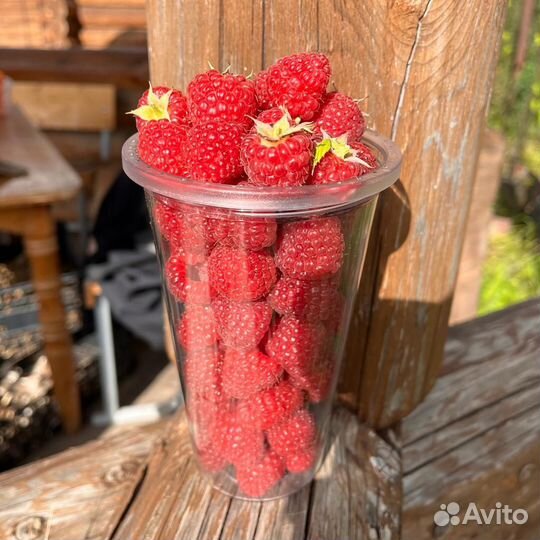 Малина садовая, земляника садовая