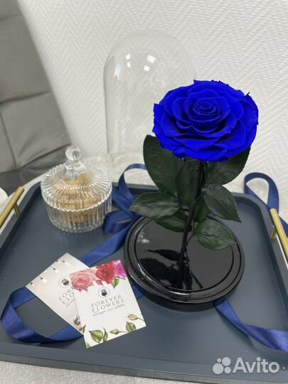 Роза в колбе. Есть опт