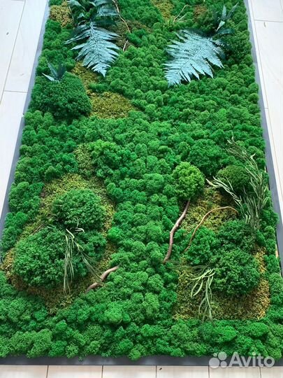 Озеленение пространства(панно, картины и.т.д)