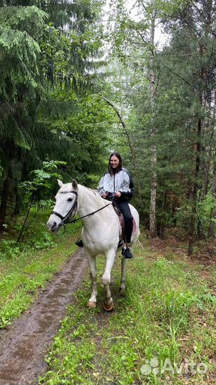 Конные прогулки