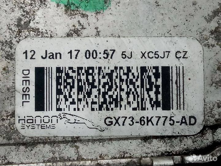 Интеркулер Jaguar F-Pace 2020 GX736K775AD