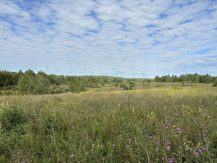 Участок 311 га (СНТ, ДНП)