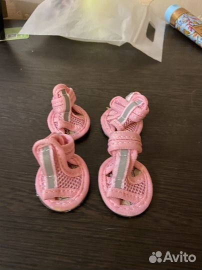 Обувь для маленьких собак