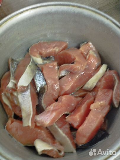 Красная Рыба